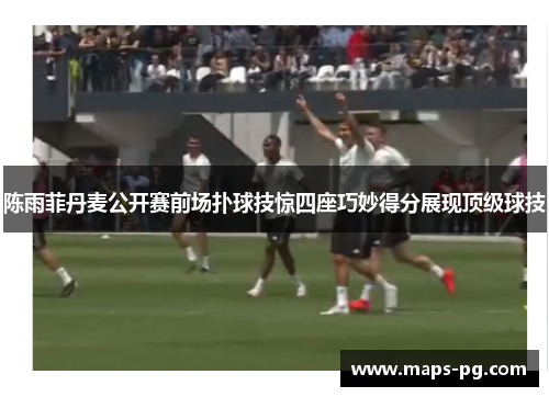 陈雨菲丹麦公开赛前场扑球技惊四座巧妙得分展现顶级球技